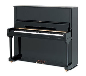tl_files/flash/Sonstigs/Pianino_new.jpg